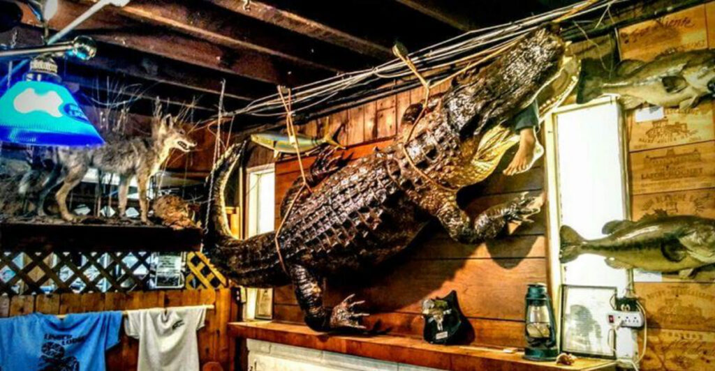 This Florida Restaurant Looks Normal Until the Walls Start Staring Back