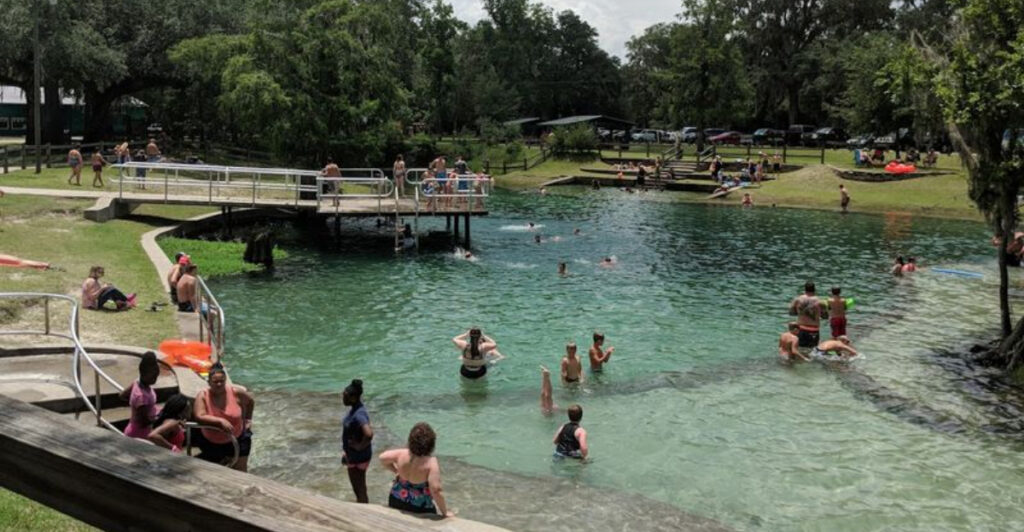 This Florida Spring Is Packed With Wildlife and Perfect for Families