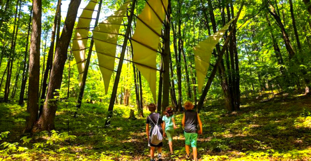 This Forest Trail in Northern Michigan Doubles as an Outdoor Art Gallery