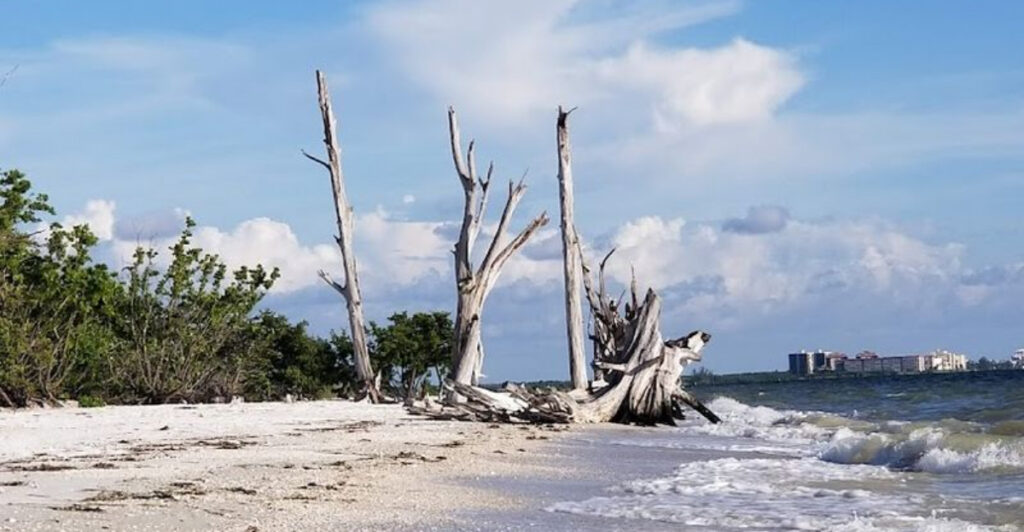 This Fort Myers Beach State Park Is a Hidden Paradise for Secluded Shores, Wildlife, and Peaceful Coastal Escapes