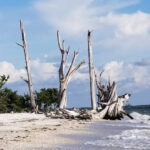 This Fort Myers Beach State Park Is a Hidden Paradise for Secluded Shores, Wildlife, and Peaceful Coastal Escapes