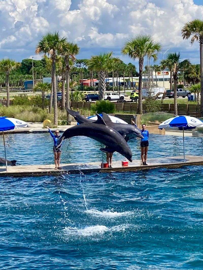 A Historic Home for Marine Life Right on the Gulf Shore
