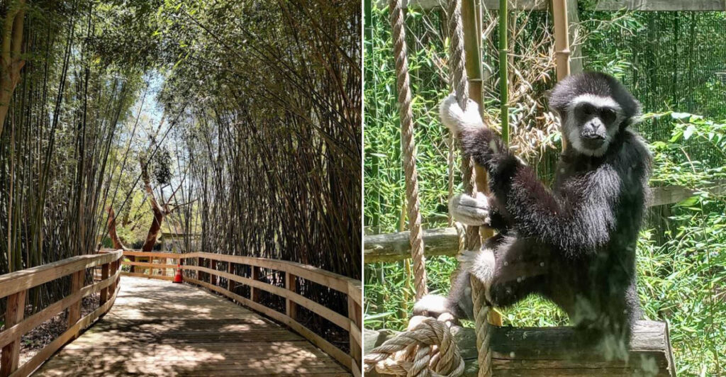 This Garden State Animal Sanctuary Is One of The Sweetest New Jersey Day Trips