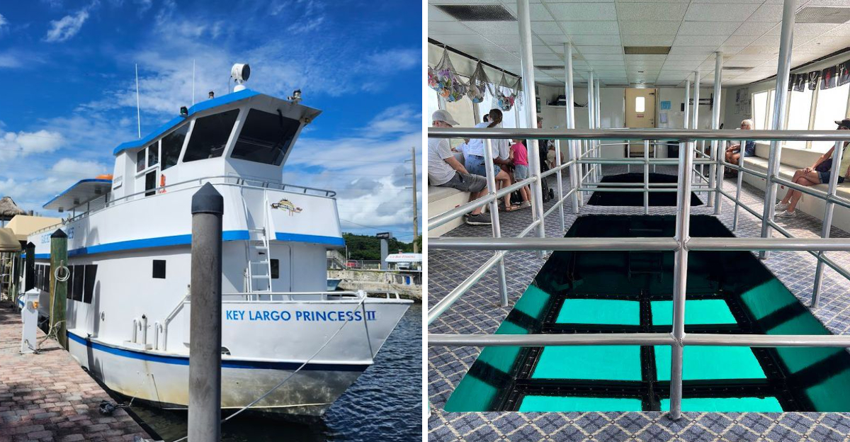 This Glass-Bottom Boat Tour in Key Largo Lets You See the Reef Without Getting Wet
