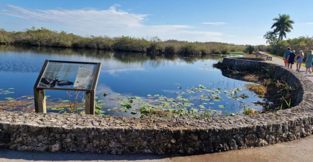 This Half-Mile Florida Boardwalk Offers Stunning Views Along a Scenic Canal