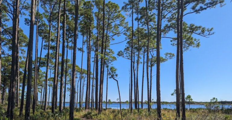This Hidden Florida State Park Is a Coastal Paradise with Rare Dune Lakes, Quiet Trails, and Pristine Shores