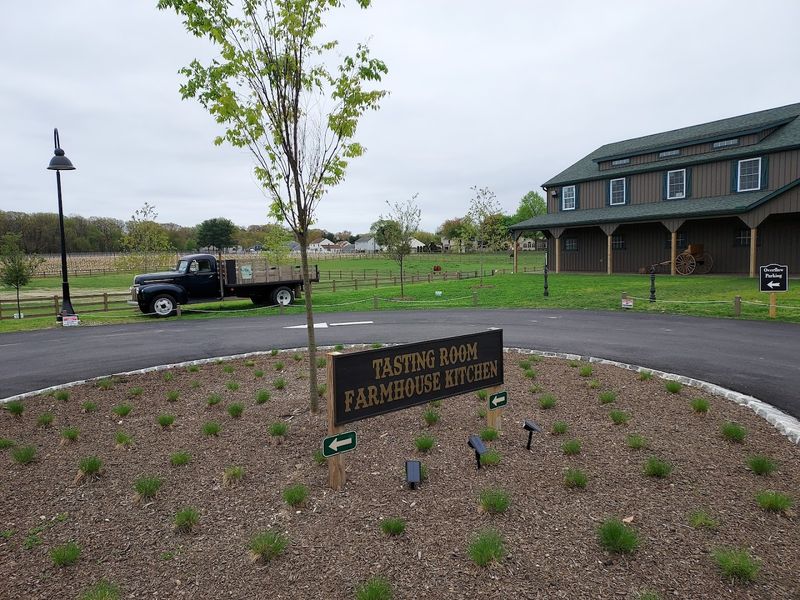 Where to Find It and What to Expect on Arrival