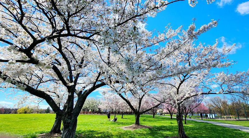 Where to Find This 805-Acre Outdoor Playground
