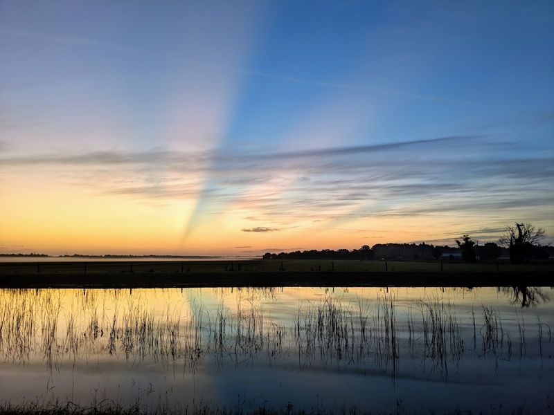 Finding the Preserve: Address and First Impressions