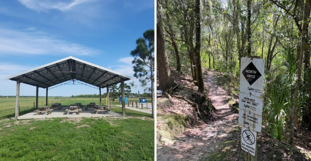 This Hidden Nature Preserve in Lithia Is a Dream for Hikers and Wildlife Lovers