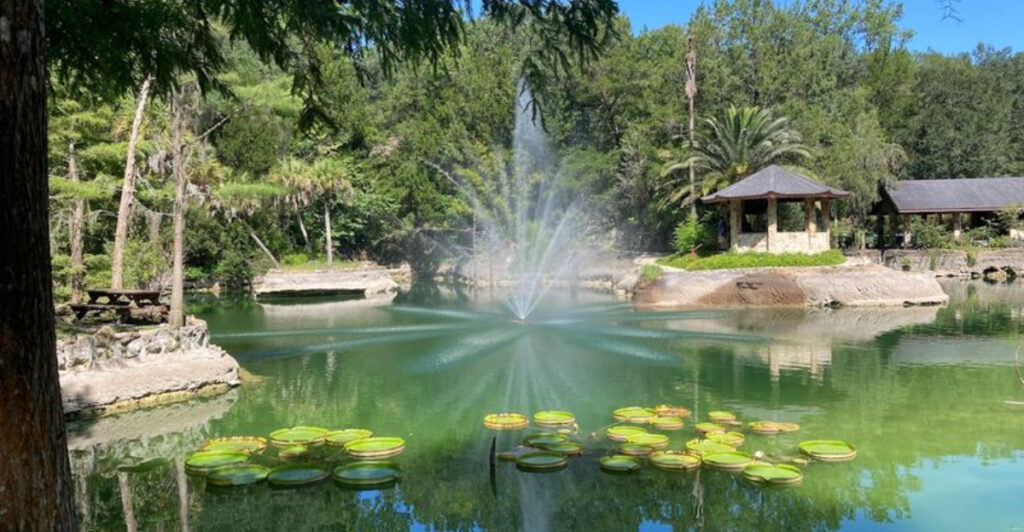 This Hidden Paradise in Florida Should Not Exist in an Old Quarry