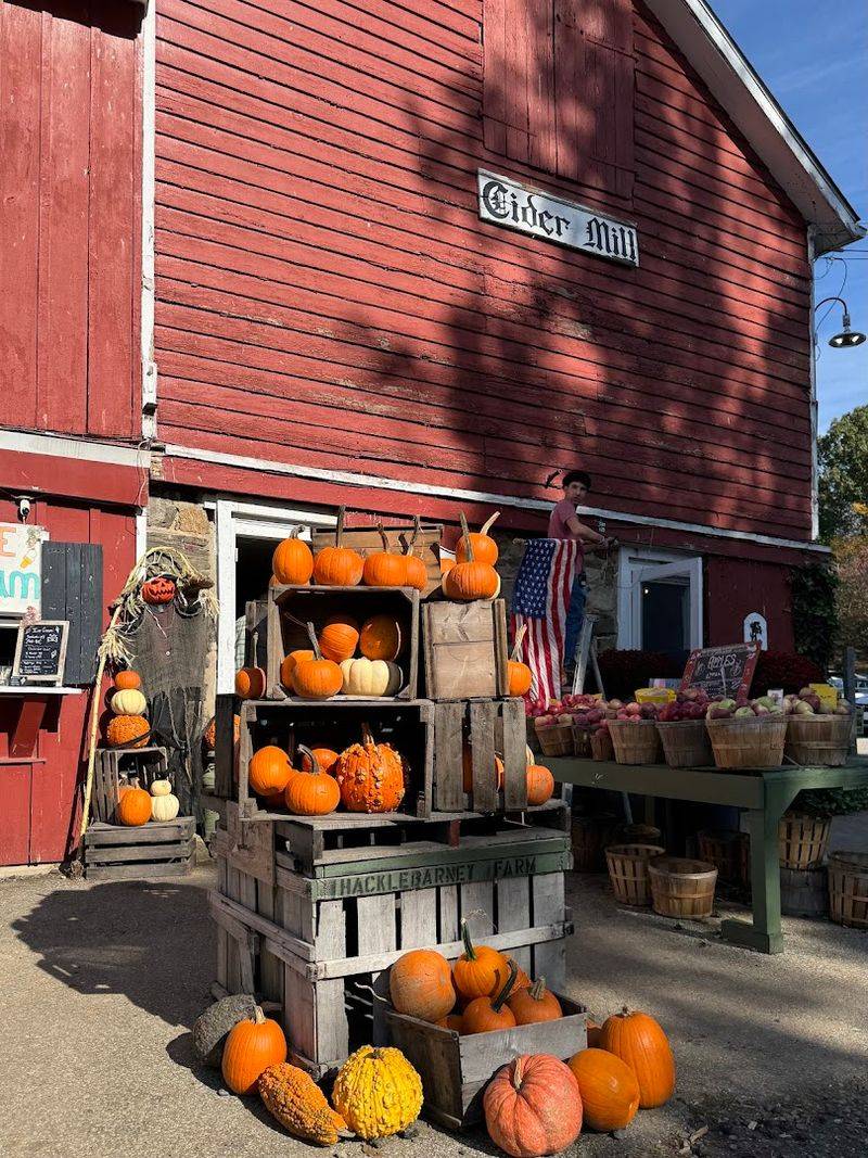 Where It All Begins: Address and Location