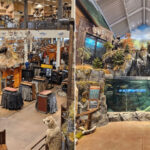 This Is the Most Unexpected “Retreat” in New Jersey With Misty Waterfalls, Fish Tanks, and Nature Scenes