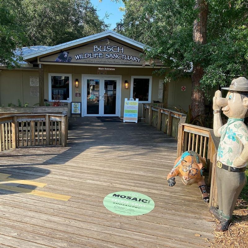 A Sanctuary Born From Purpose