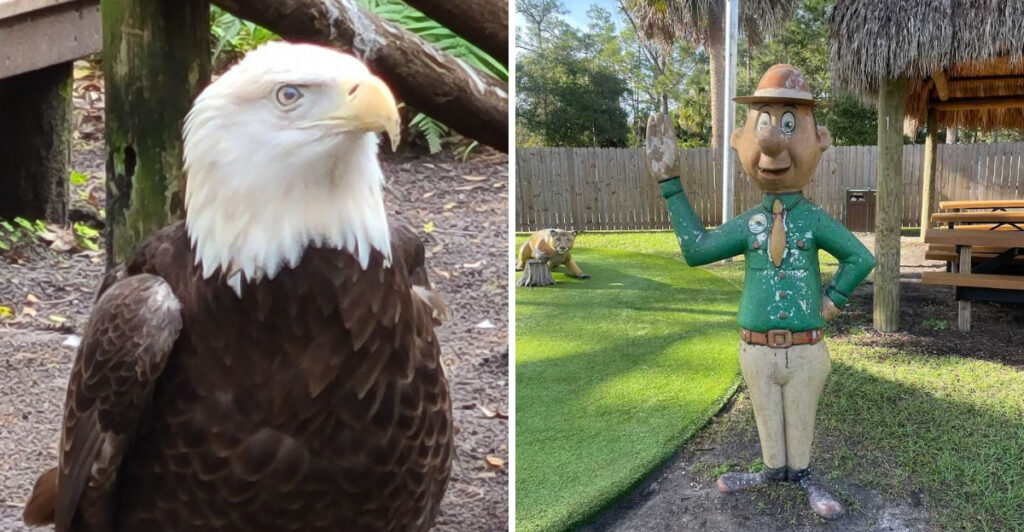 This Jupiter Sanctuary Is One of Florida’s Best Places to See Native Wildlife Up Close