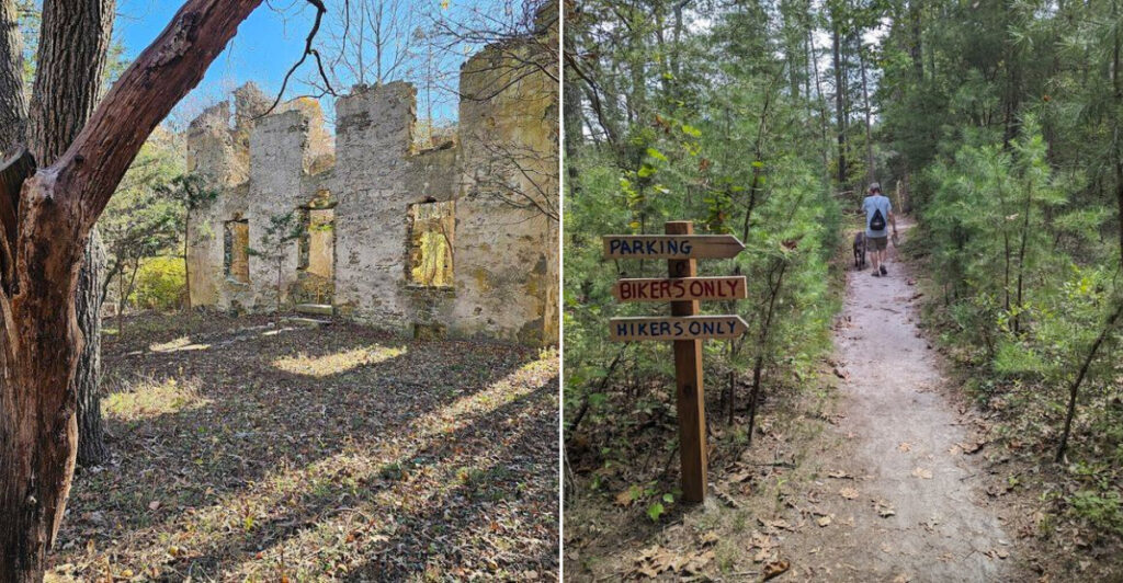 This Lesser-Known New Jersey Trail Hides Ancient Trees and a Drop-Off View You Won’t Expect