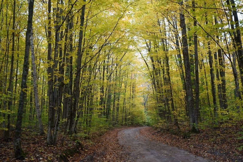 Your Starting Point: The Headquarters on Twin Lakes Road