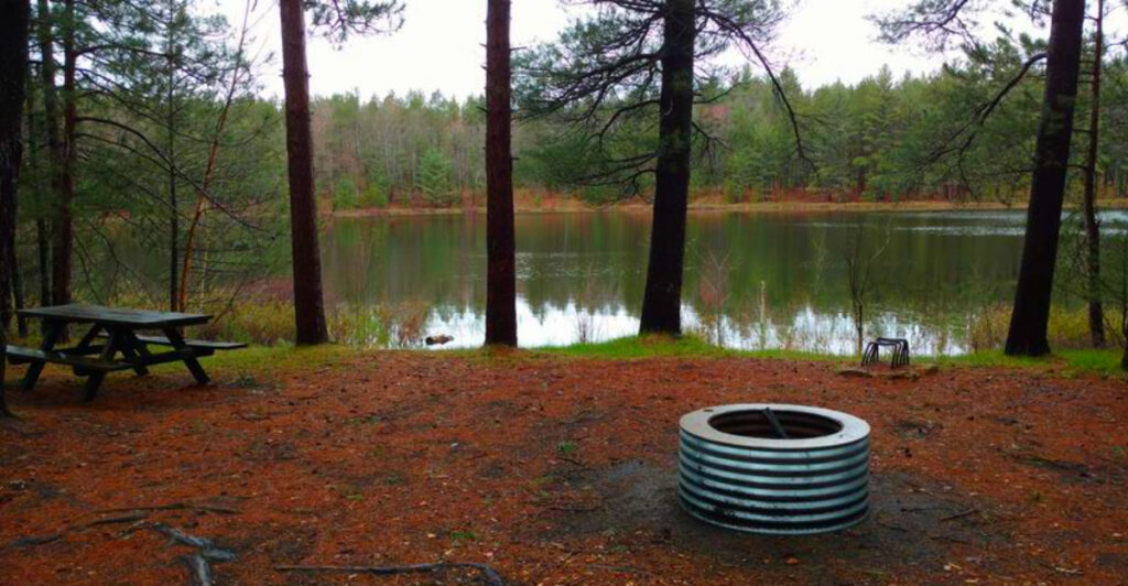 This Michigan Forest Area Is a Hidden Paradise for Hikers and Nature Lovers