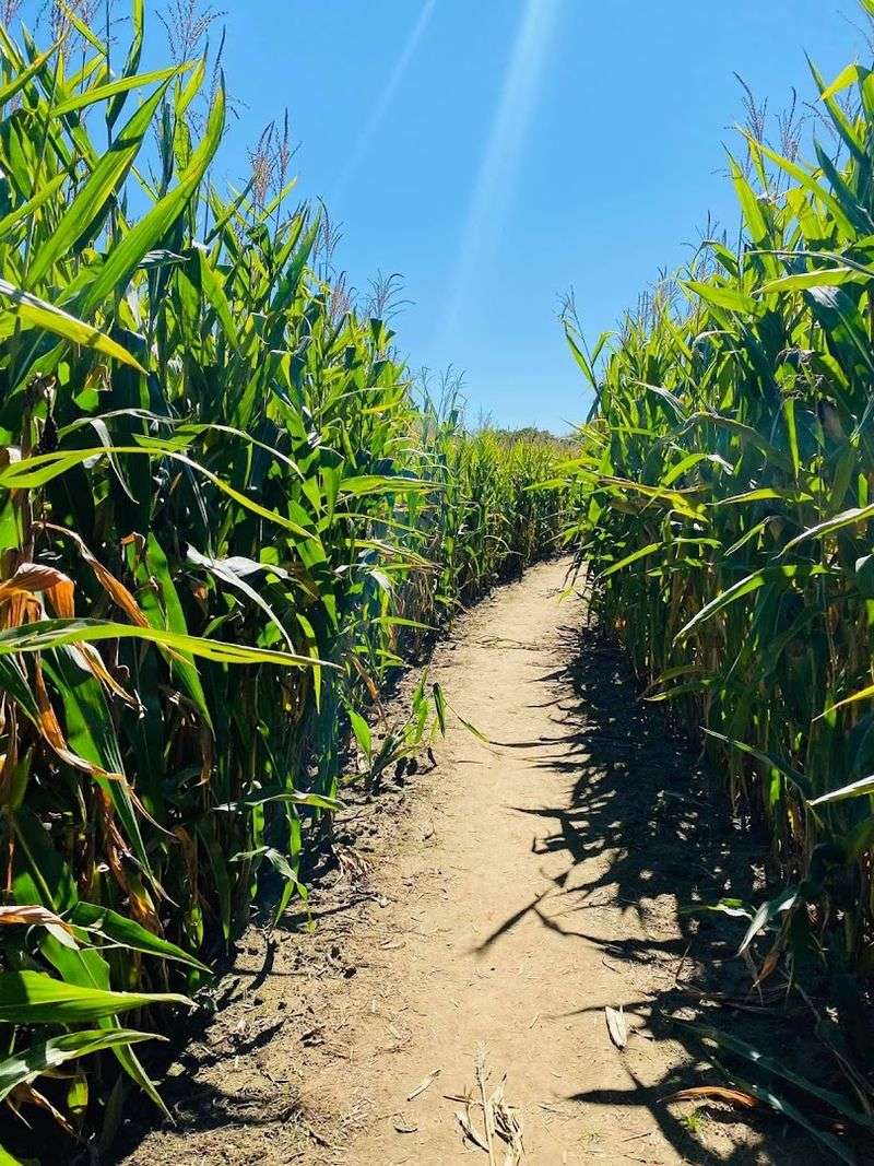 Where the Adventure Actually Begins