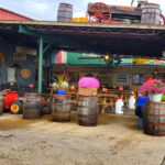 This Michigan Orchard Experience Turns Into a Full-Day Adventure