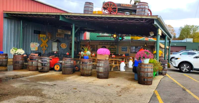 This Michigan Orchard Experience Turns Into a Full-Day Adventure