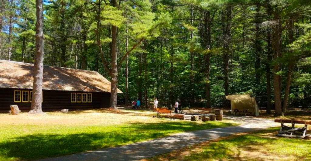 This Michigan Park Hides 360-Year-Old Trees – and a Forest That Somehow Escaped the Loggers
