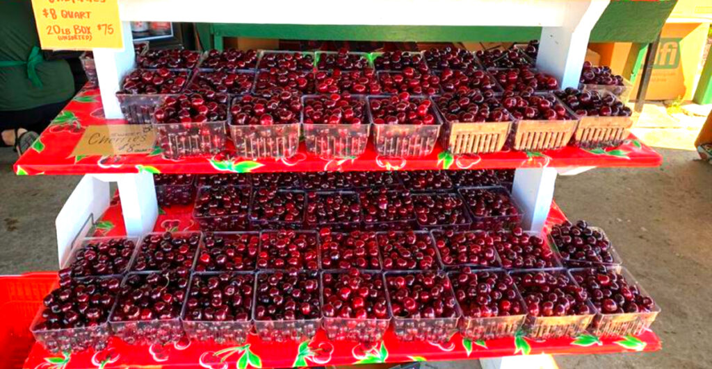 This Michigan Town Is Called the Cherry Capital of the World