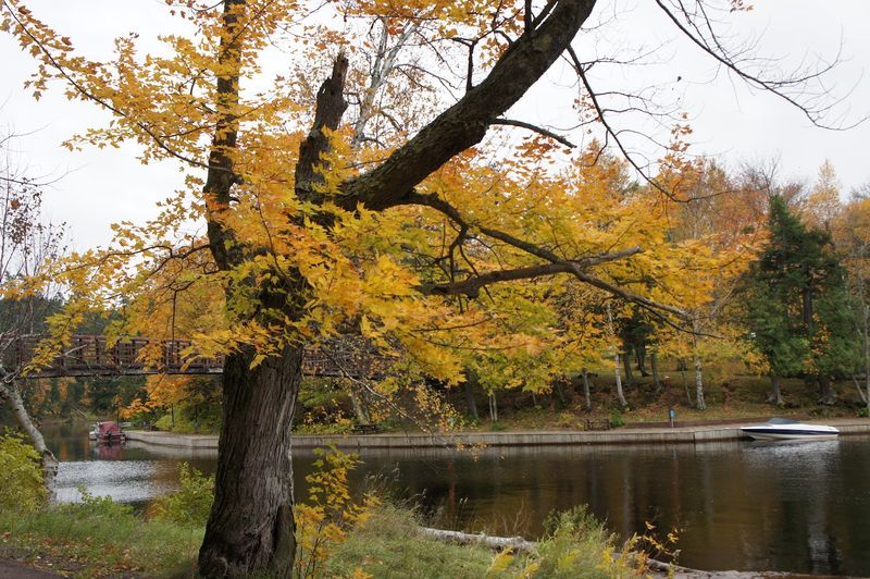 Where the adventure quietly begins