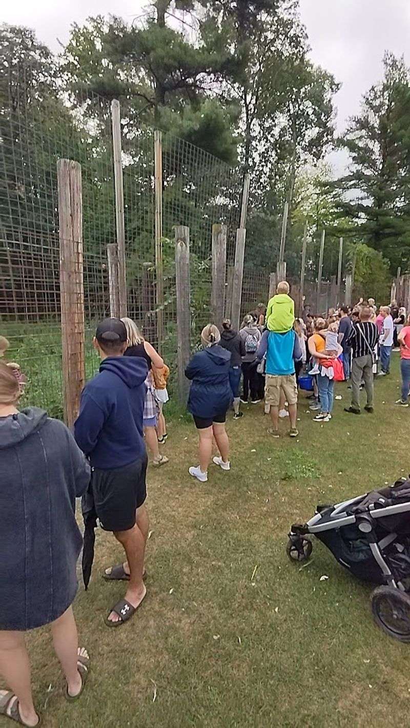 The Address That Starts the Adventure