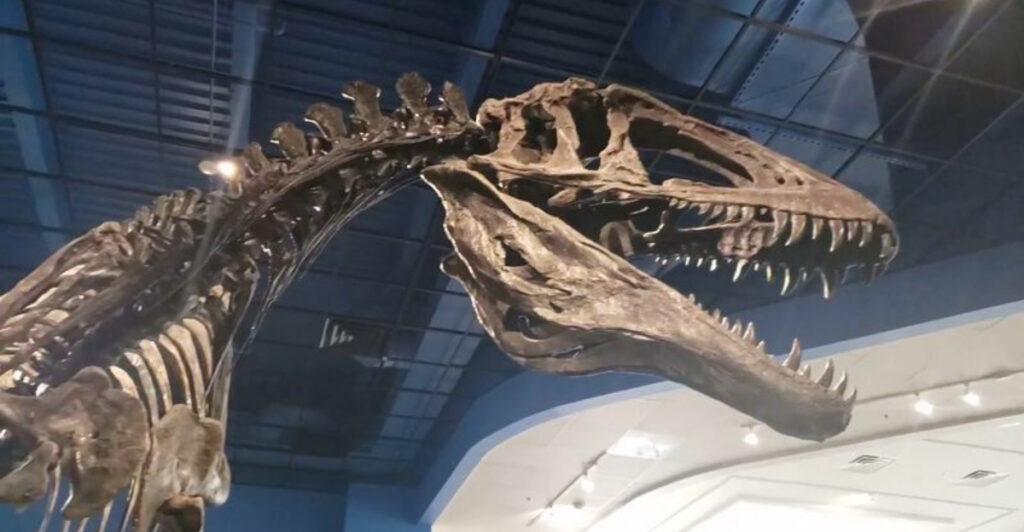 This Museum Is Bigger Than You’d Ever Expect (And It’s Free)