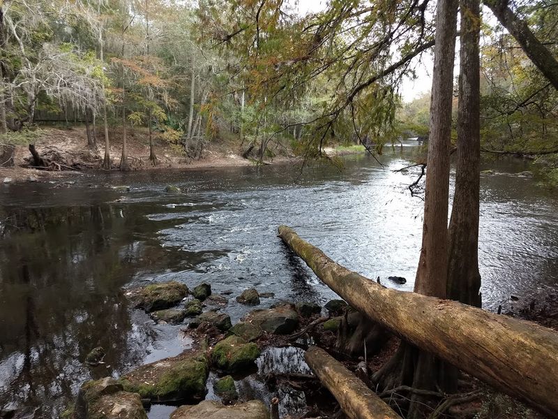 Where the River Pulls a Disappearing Act