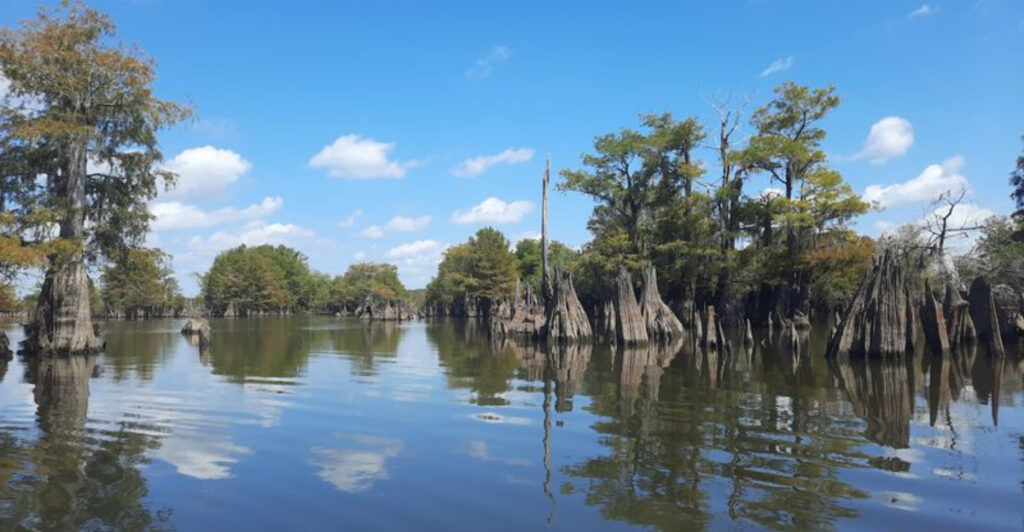 This Mystical Florida Lake Feels Like Stepping Into Another World
