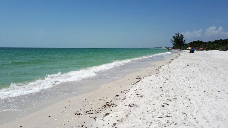 Where to Find This Gulf Coast Treasure