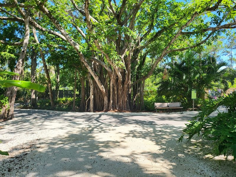 Where the Adventure Begins: Location and First Impressions