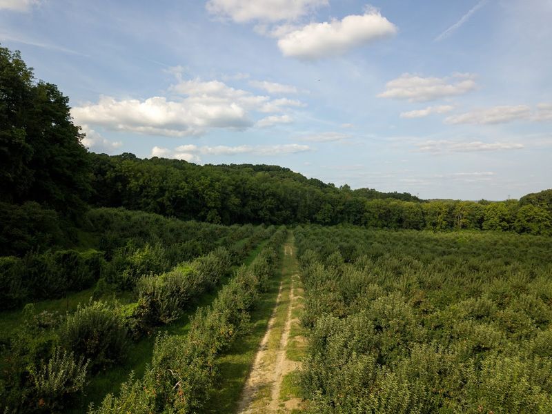 Where It All Starts: The Farm's Location and Story