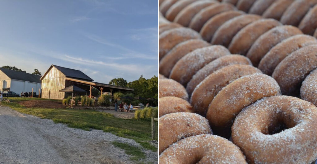 This New Jersey Farm Is Quietly Making the State’s Most Addictive Apple Cider Donuts