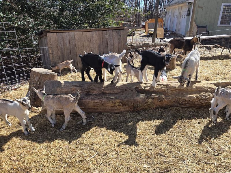 Where the Farm Actually Is