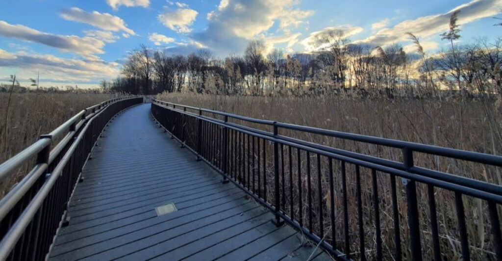 This New Jersey Hiking Trail Is a Hidden Gem for Bird Lovers