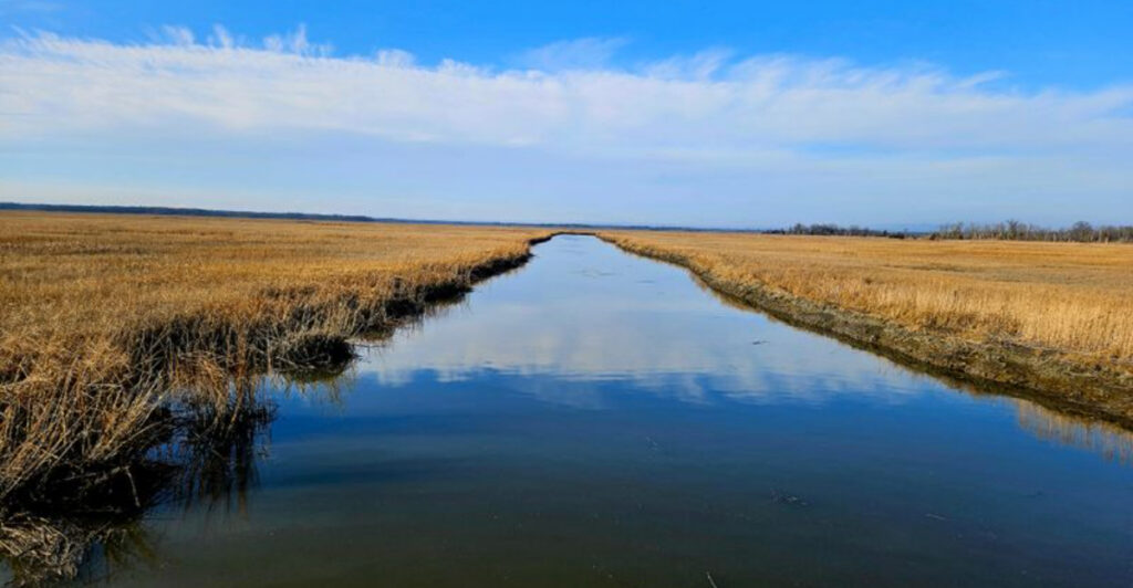 This New Jersey Nature Haven Feels Like a Secret World of Marsh and Birds