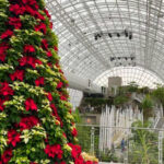 This Oklahoma Garden Has Koi Ponds, Flower Paths, and a Giant Glass Conservatory