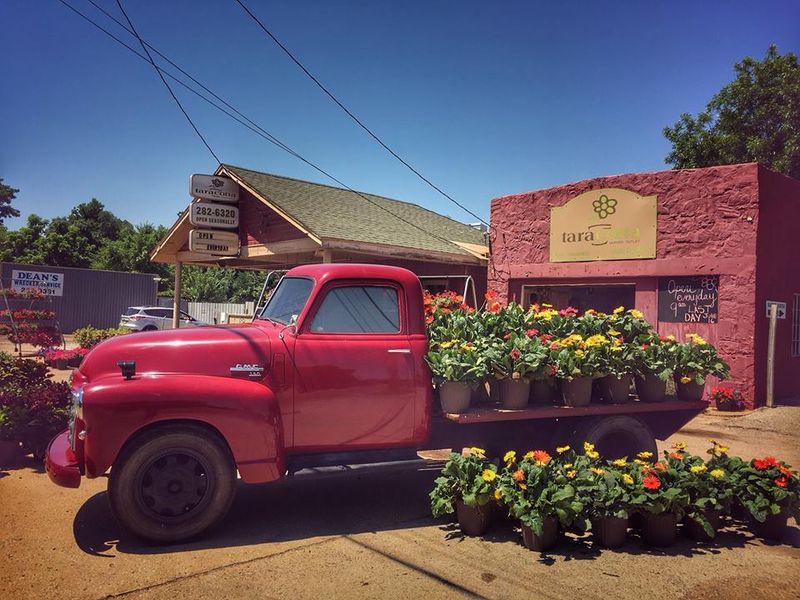 Where You Can Find TaraCotta Garden Outlet