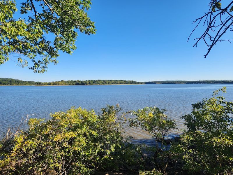 Where It All Begins: Location and First Impressions