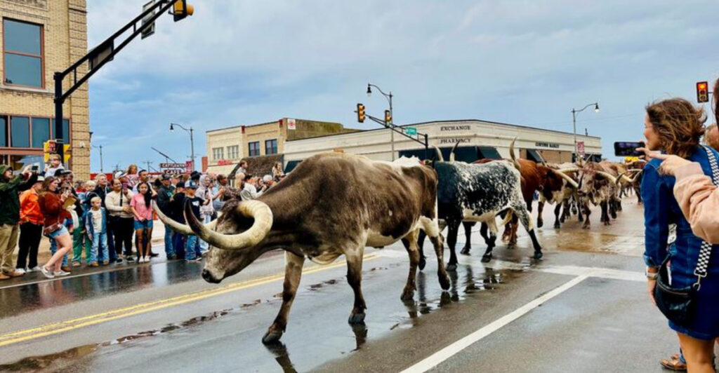 This Oklahoma Landmark Is the Largest Stocker and Feeder Cattle Market on Earth