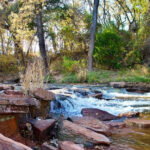 This Oklahoma Nature Park Feels Like a Forest Escape in the Middle of the City