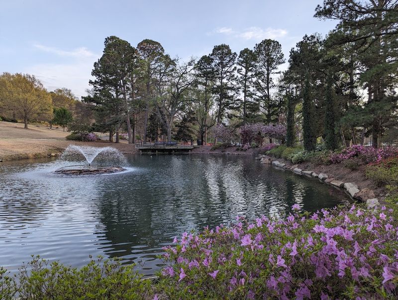 Where the Azalea Magic Begins: The Park's Location and Layout