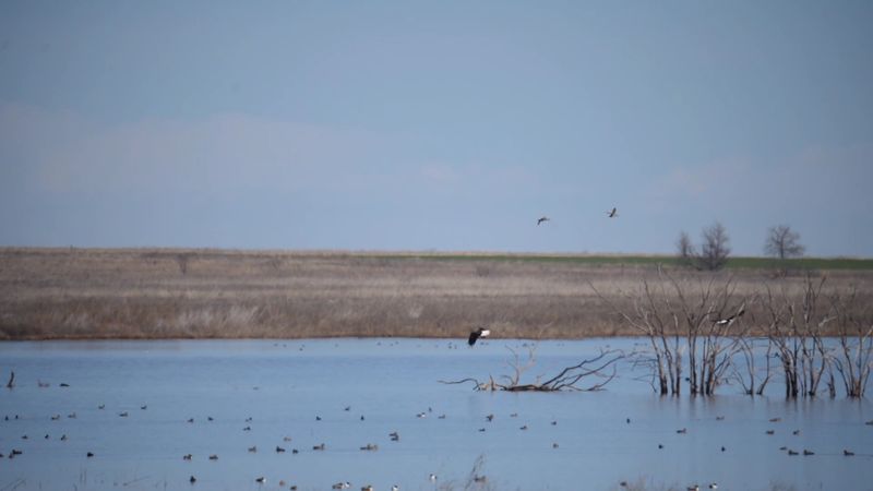 Where Exactly Is This Place and How to Get There