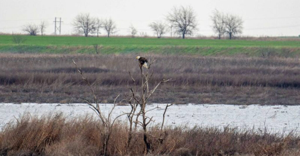 This Oklahoma Wildlife Area Is One of the Best Bird-Watching Spots in the State
