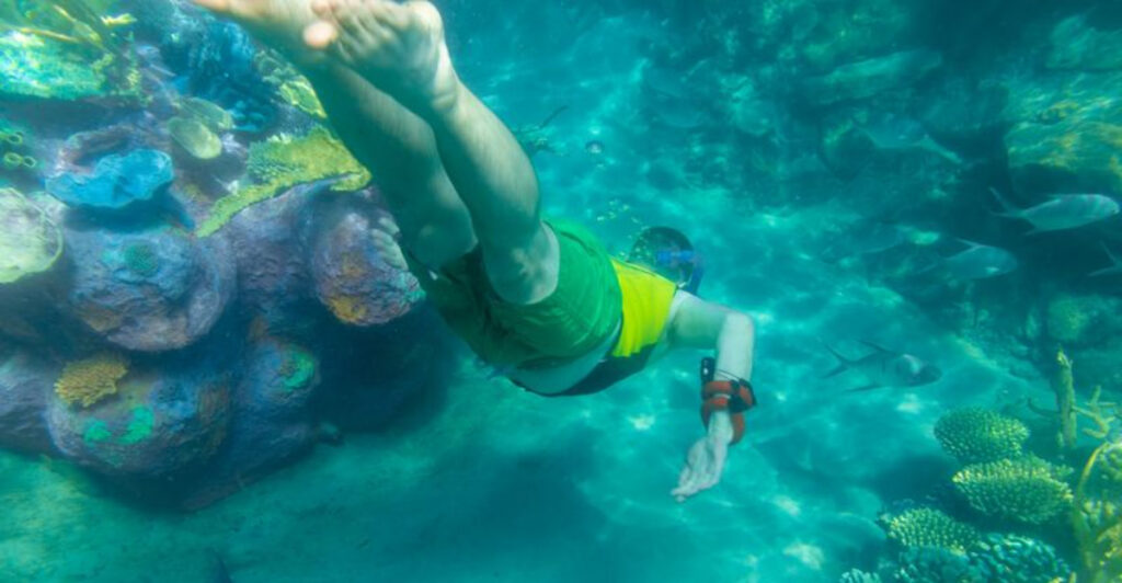 This Orlando Water Park Lets You Swim With Dolphins and Snorkel With Tropical Fish