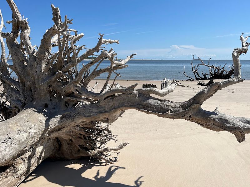 Where Exactly You Will Find This Wild Place