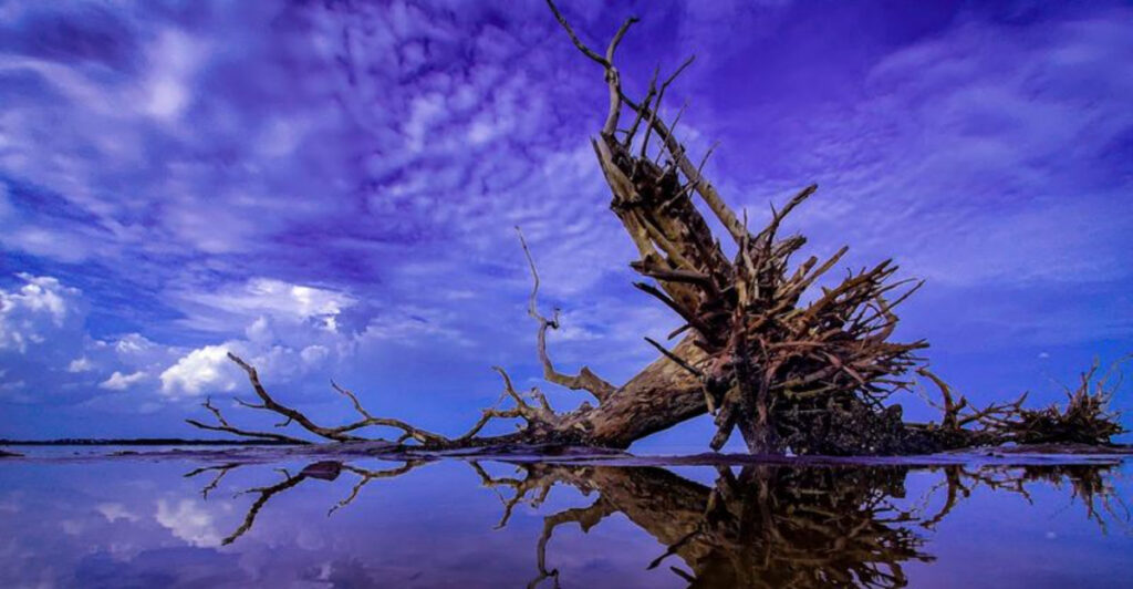 This Otherworldly Florida Beach Feels Like Walking on a Different Planet And It’s Stranger Than You’d Expect